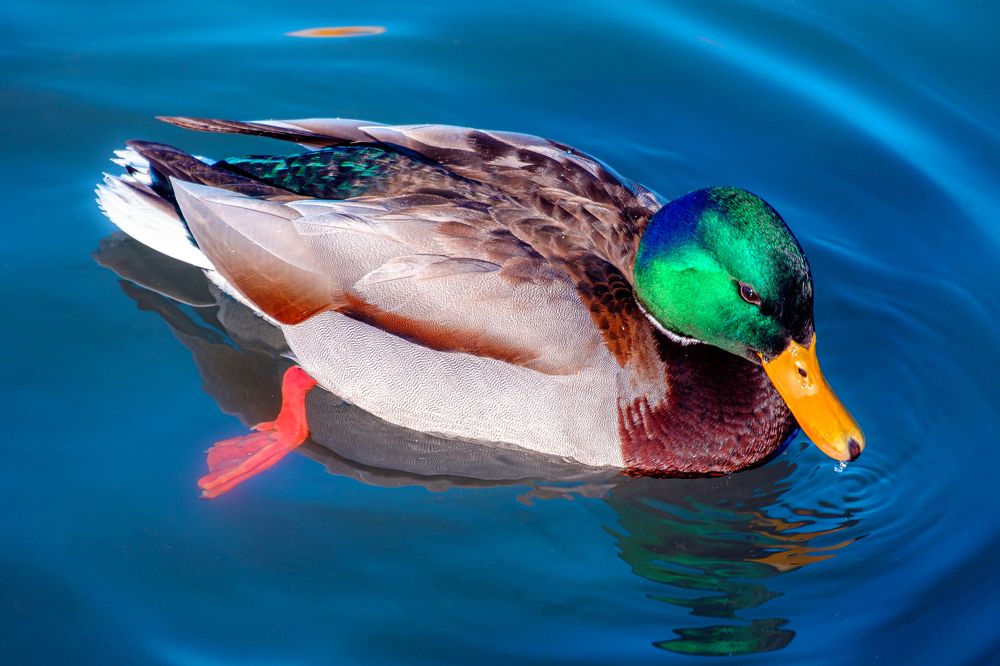 Photograph by Евгений Соколов