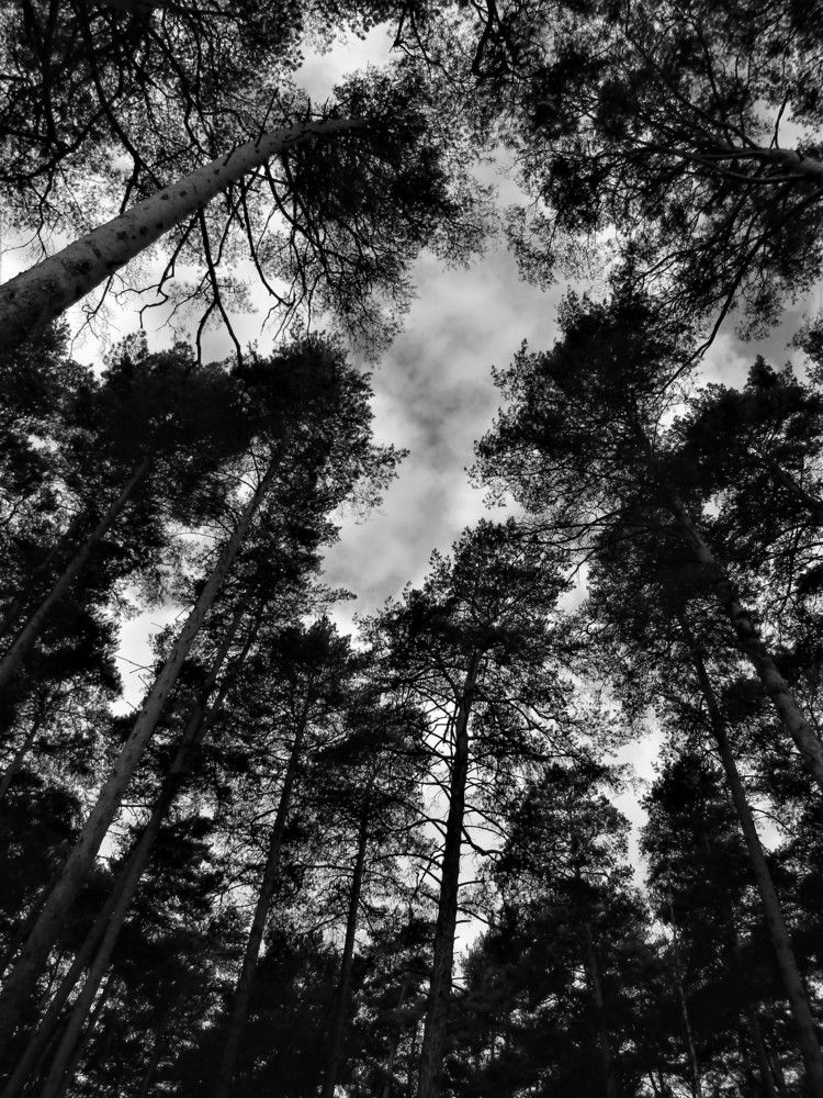 Photograph by Николай Худяков