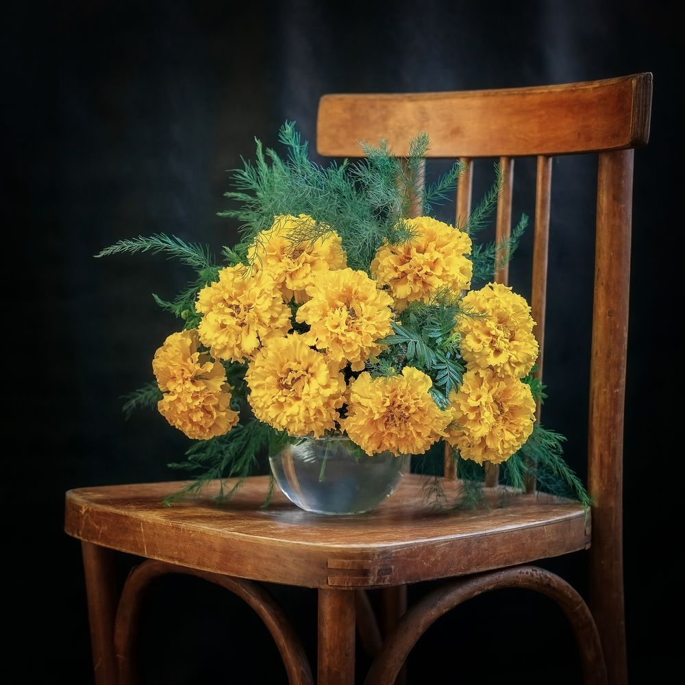 Tagetes