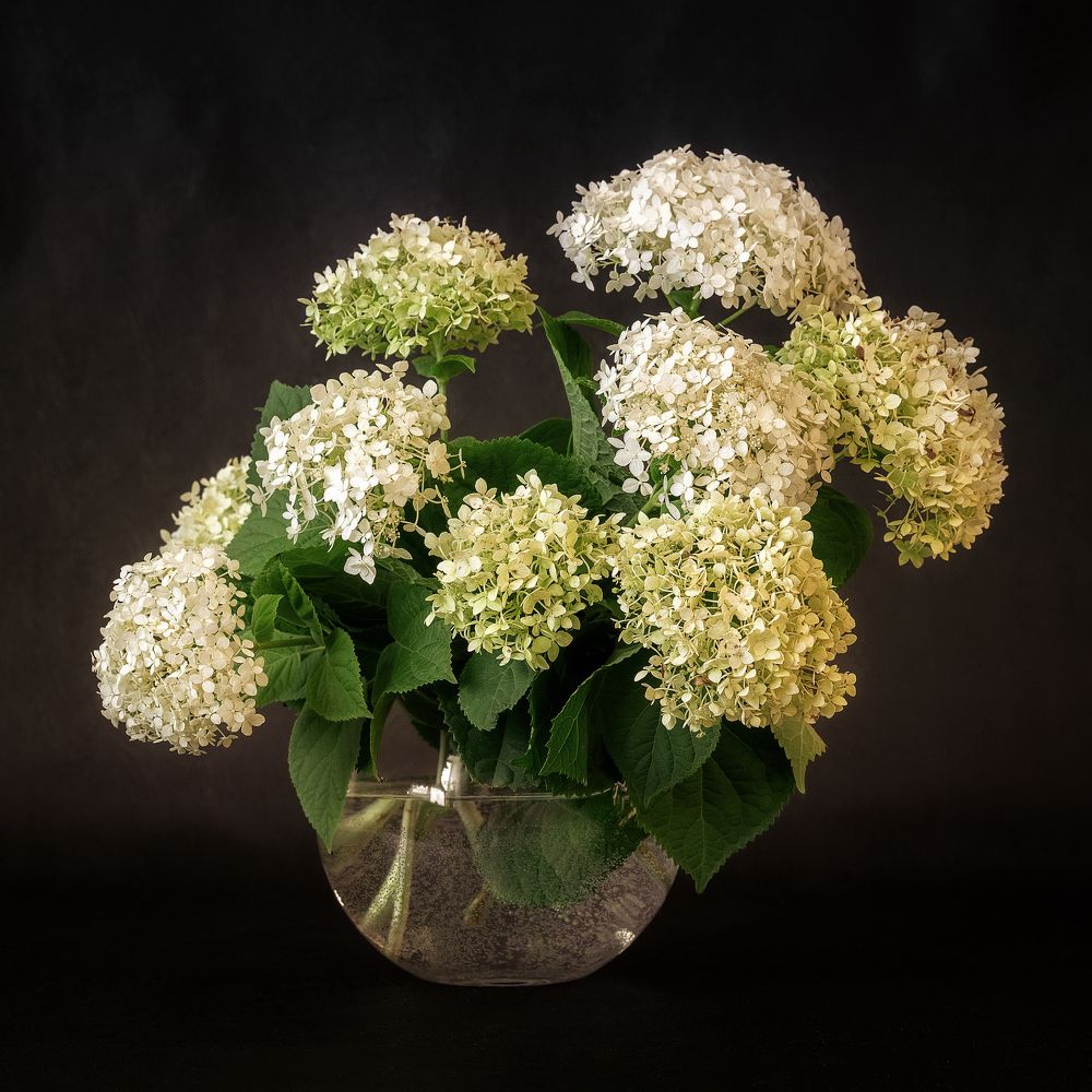 Photograph by Минаева Татьяна