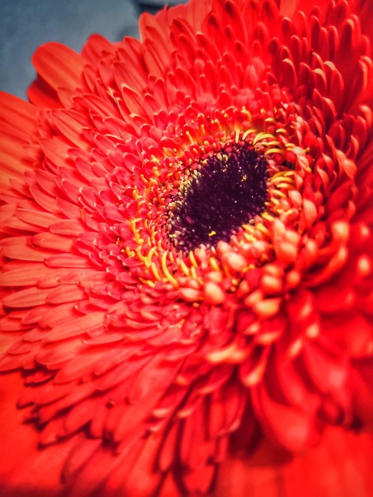 Photograph by Серафима Силина