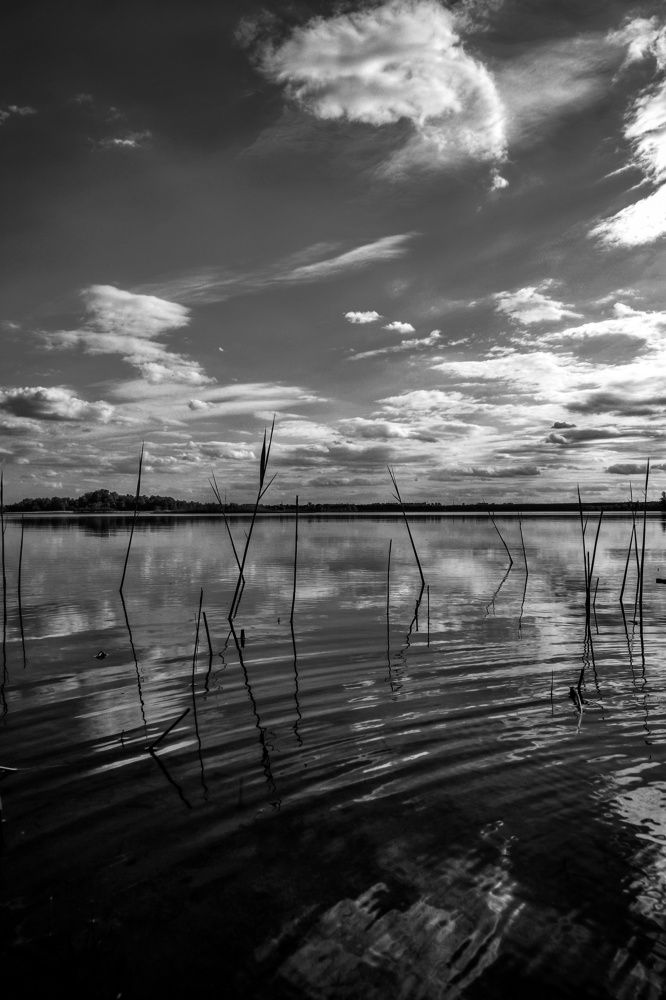 Photograph by Марина Шамич