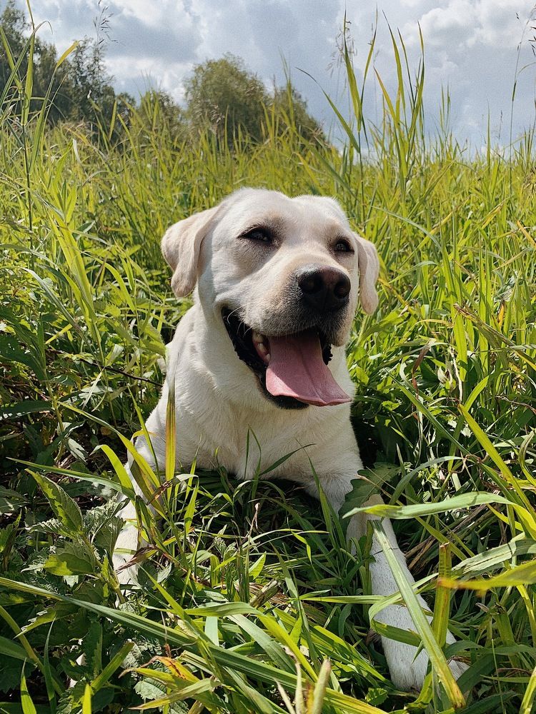 Photograph by Татьяна Волохова