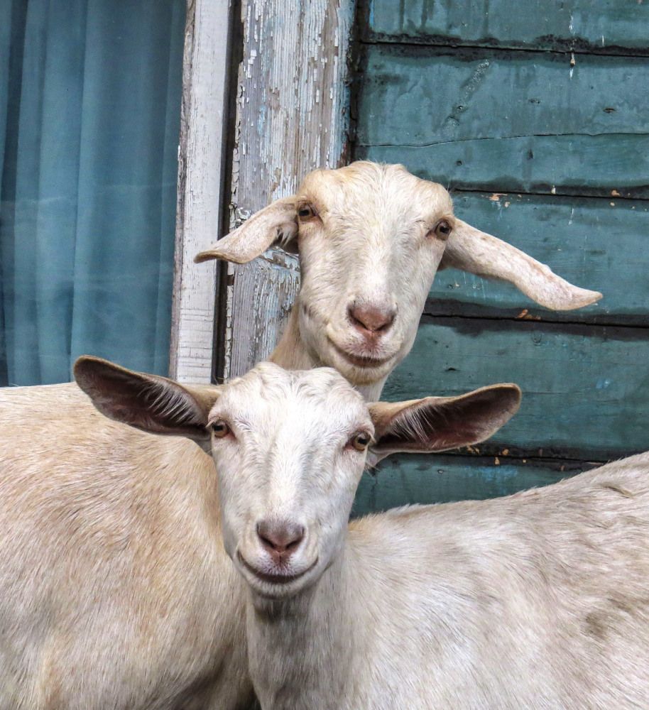 Photograph by Нина Будникова