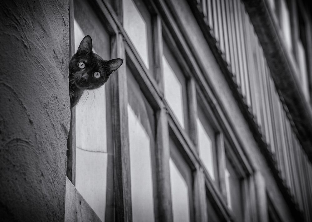 Photograph by Тамара Андреева