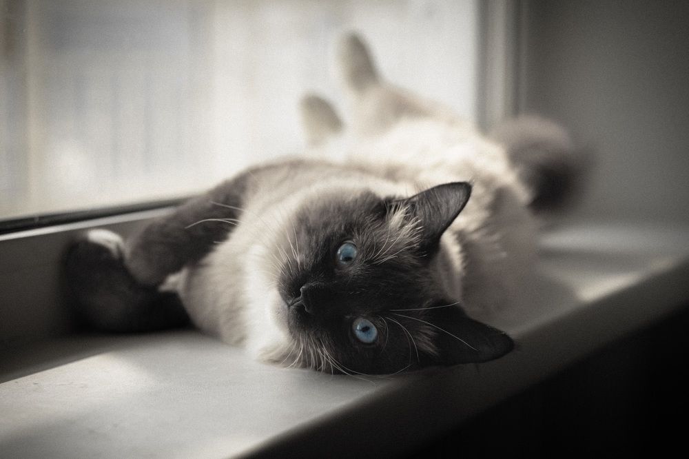 Первые лучики тепла