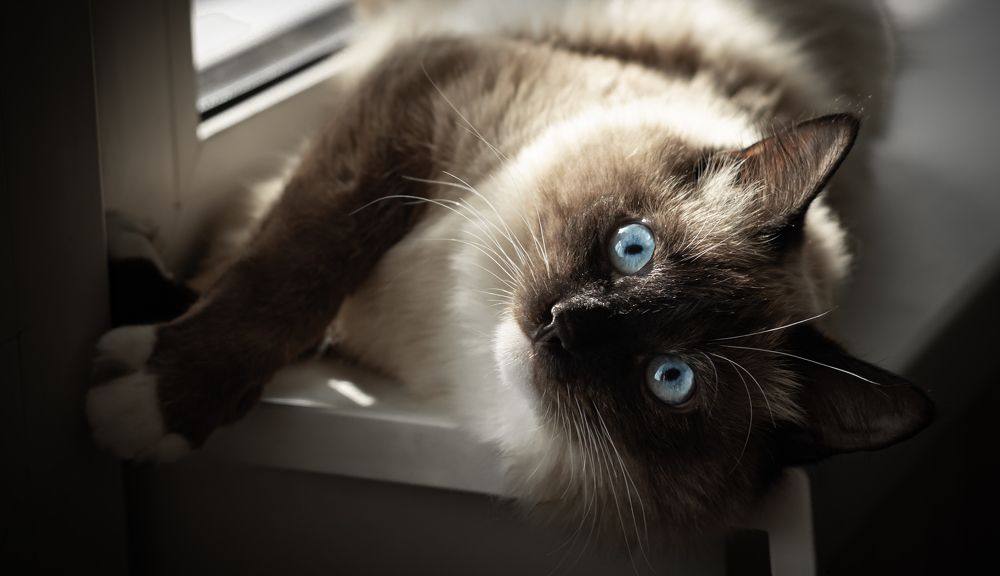 Photograph by Евгений Беляк