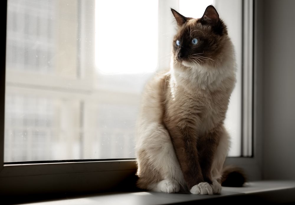 Photograph by Евгений Беляк