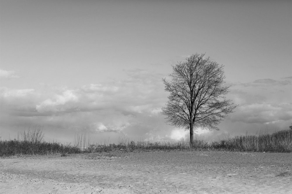 Photograph by Марина Юрченко