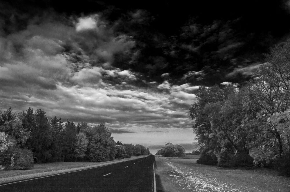 Дальняя дорога