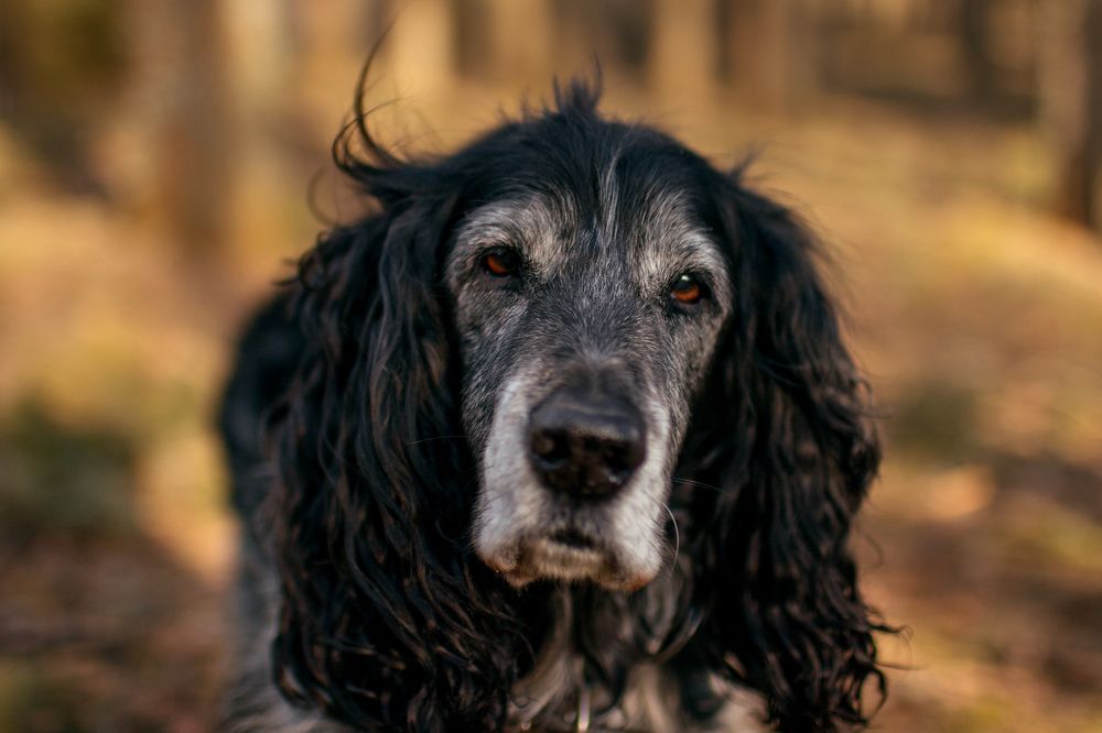 Photograph by Ольга Крестьянинова