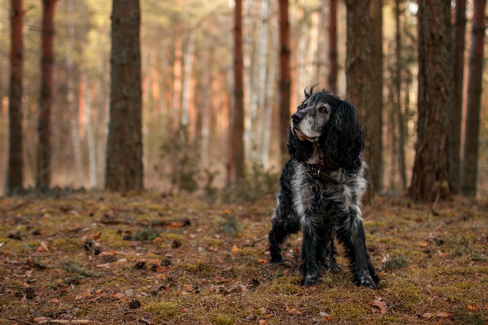 Photograph by Ольга Крестьянинова