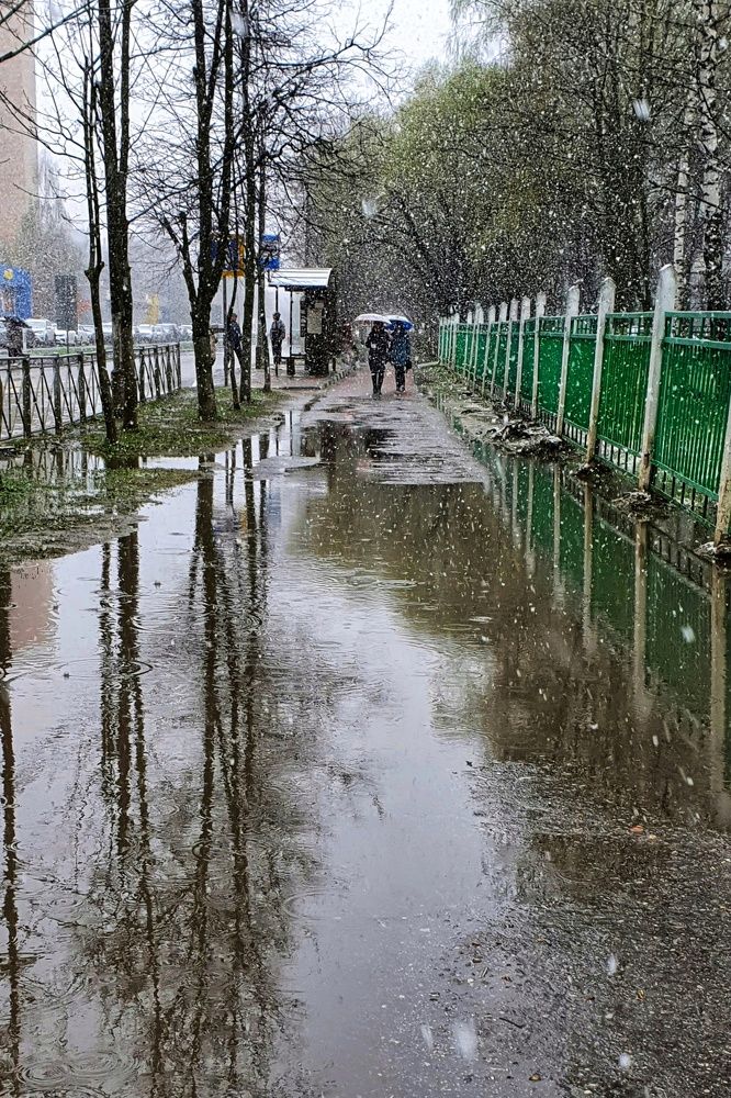 Photograph by Olga Vinogradova