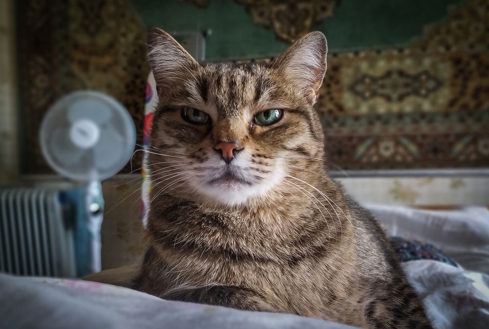 Photograph by Виктор Поверенов