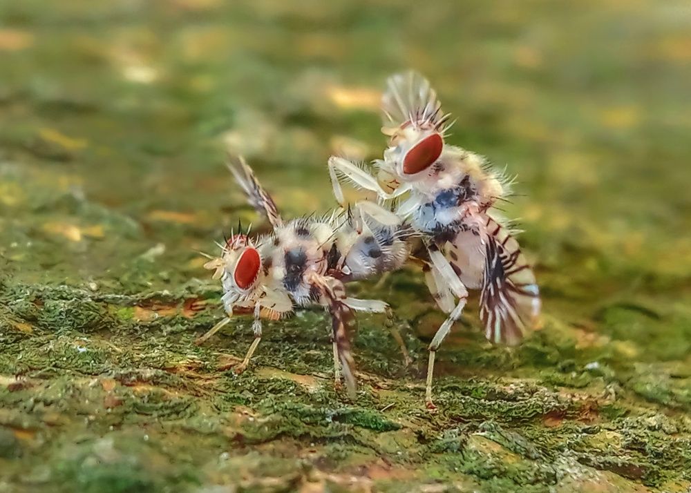 Photograph by Sampad das