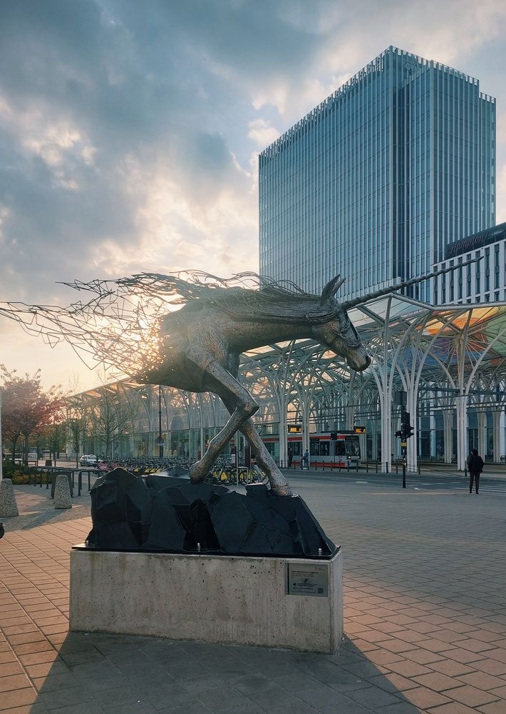 Photograph by Екатерина Дашкевич