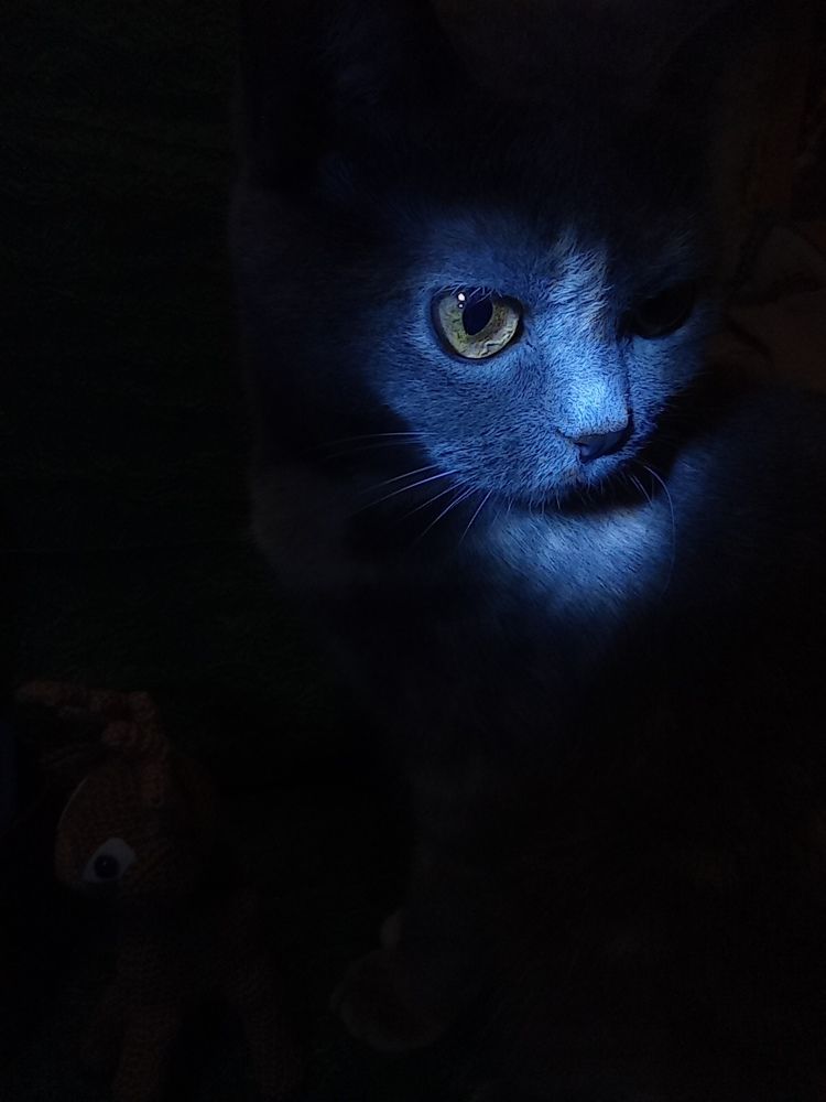 Photograph by Наталья Стальмакова