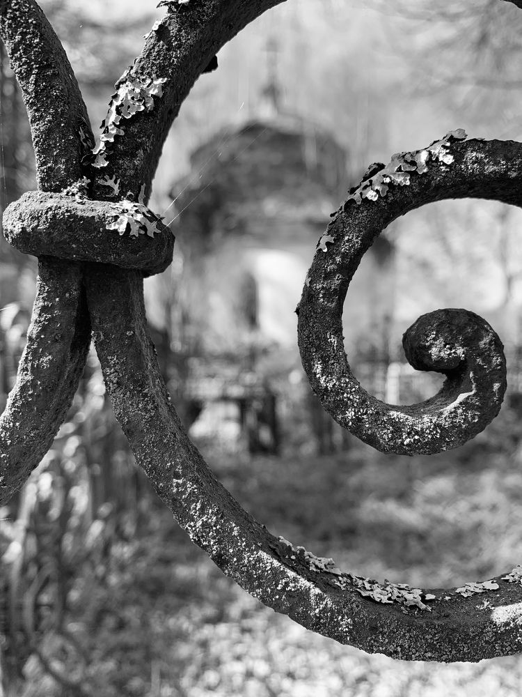 Photograph by Nadezhda Bakina