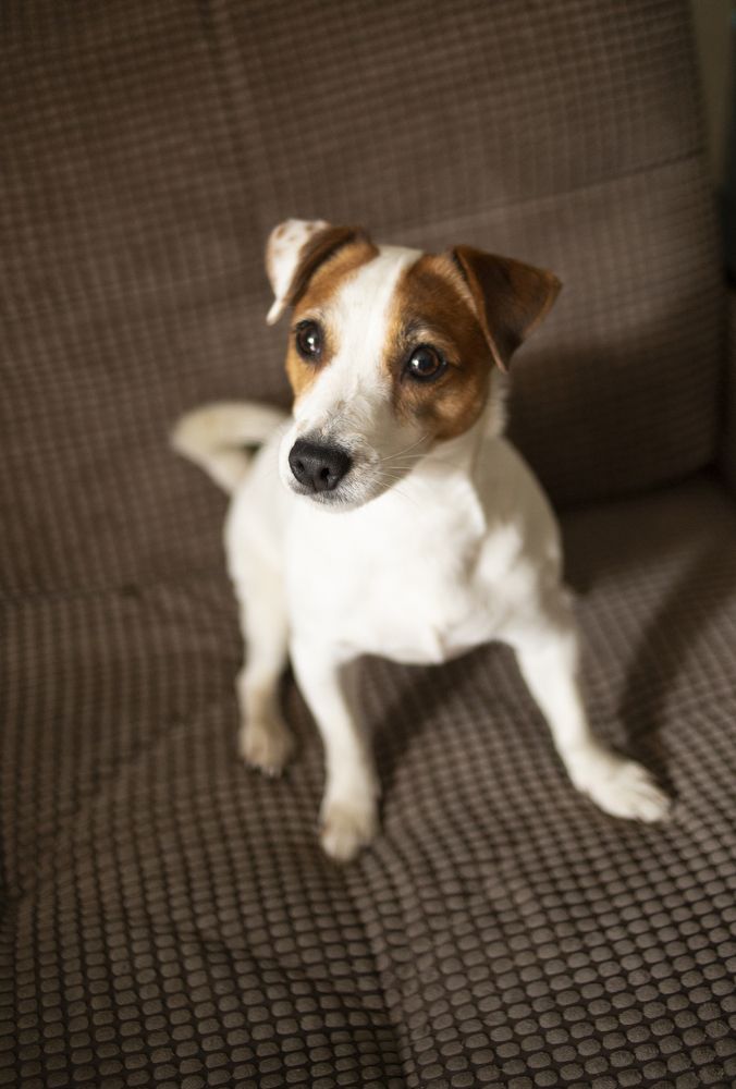 Фотография автора Анна Смирнова