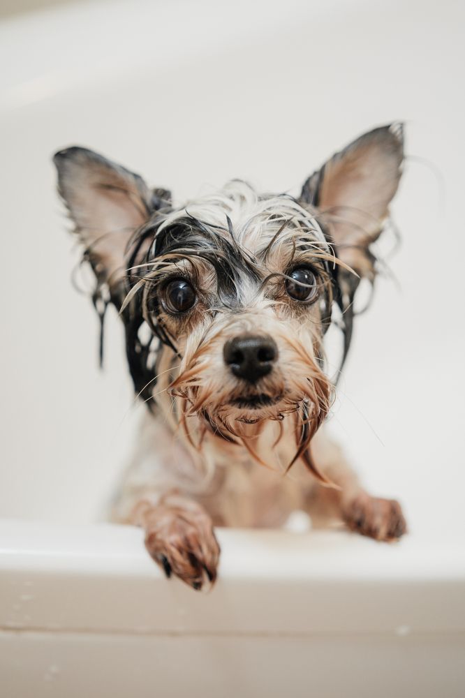 Photograph by Елена Горина