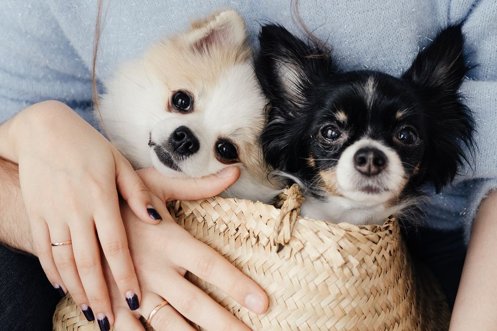 Photograph by Елена Горина