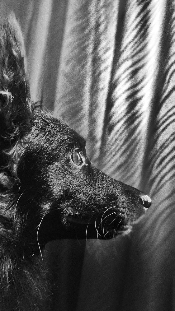 Photograph by Александр Сомов