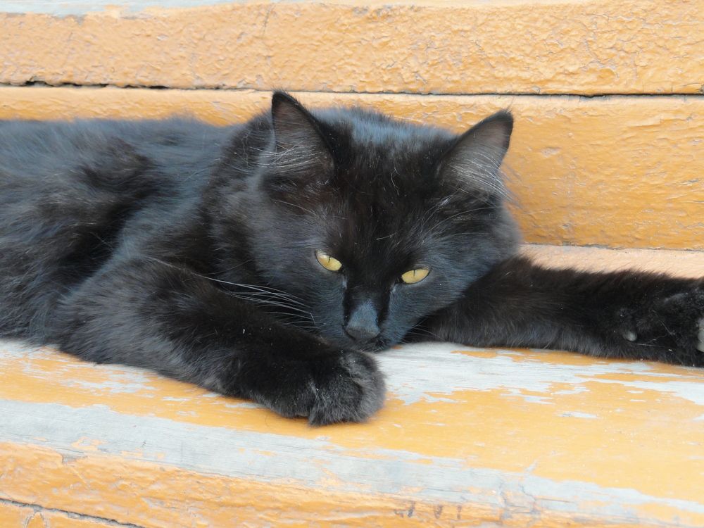 ЗАМЕЧТАЛСЯ !!!