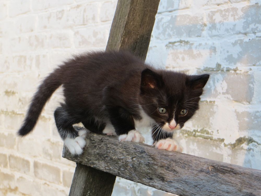 СЕЙЧАС ! ПОЙМАЮ !!!!!