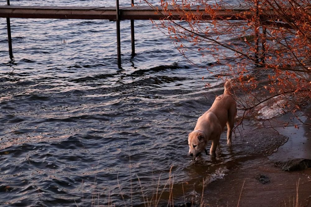 Photograph by Татьяна Котельникова