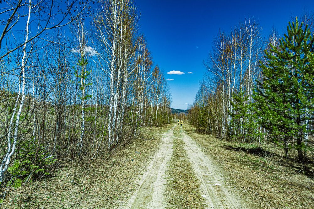 Photograph by Артём Кривов