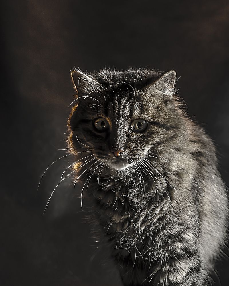 Photograph by Виктор Степанов