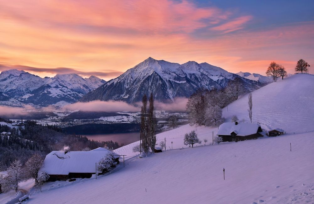 Photograph by Elena Wymann