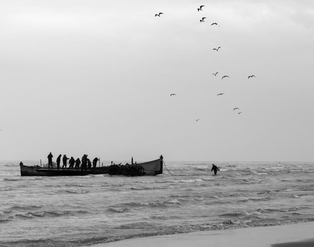 Фотография автора payman Mollaie