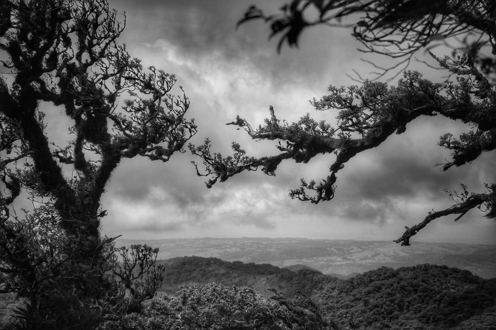 Photograph by Mauricio Mora Flores