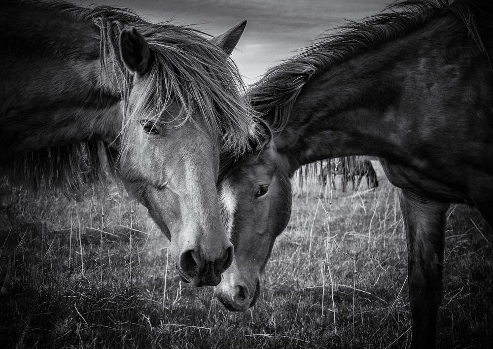 Photograph by Тамара Андреева