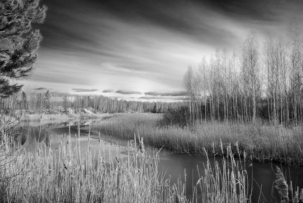 Photograph by Владислав Никишин