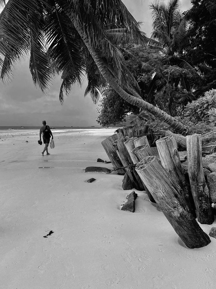 Photograph by Елена Ковалева