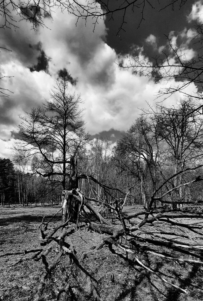 Photograph by Елена Исрафилова