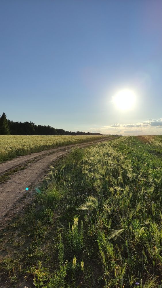 Photograph by Екатерина Романова