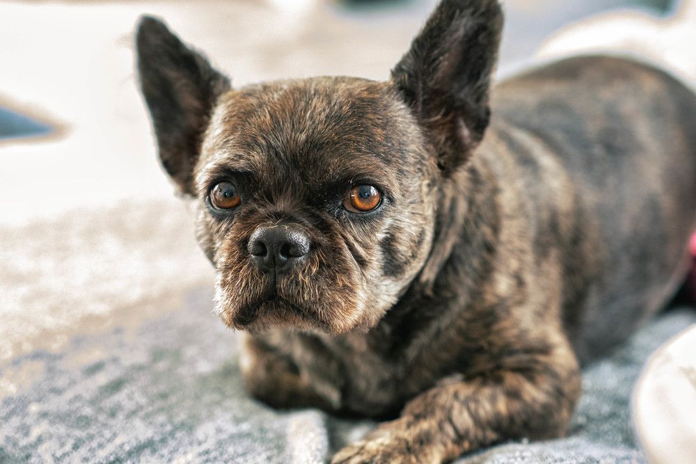 Photograph by Сергей Нагель-Синегубов