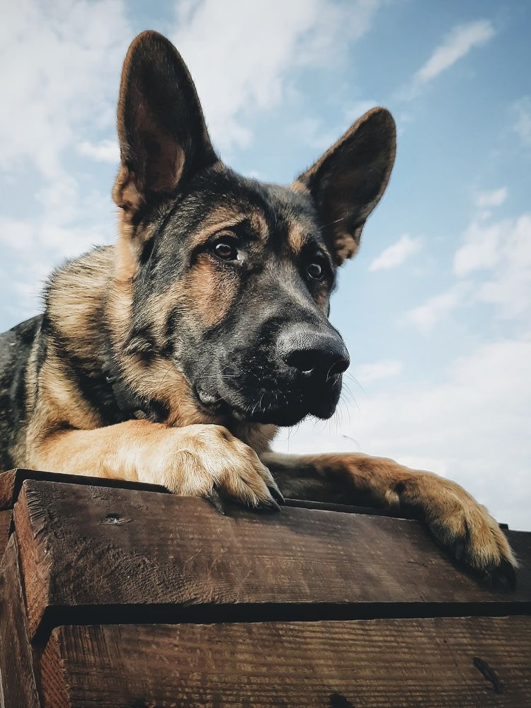 Photograph by Оксана