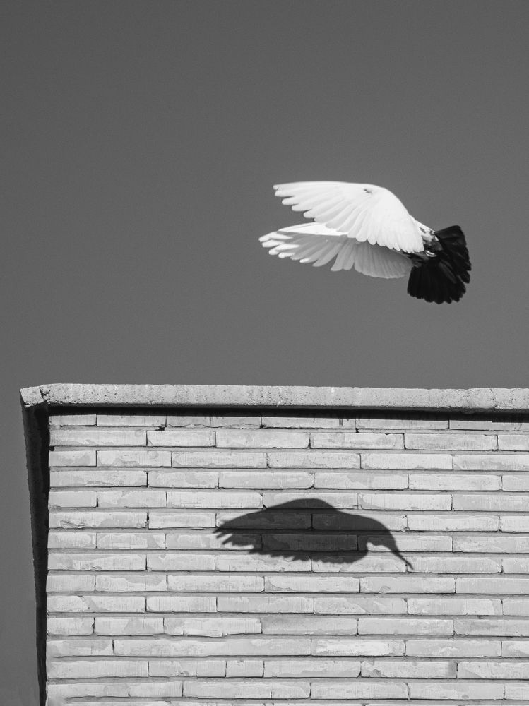 Photograph by mobin the abstract