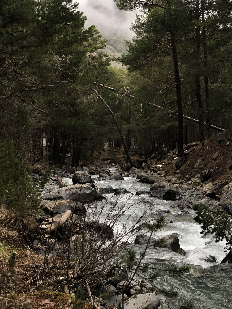 Photograph by Людмила