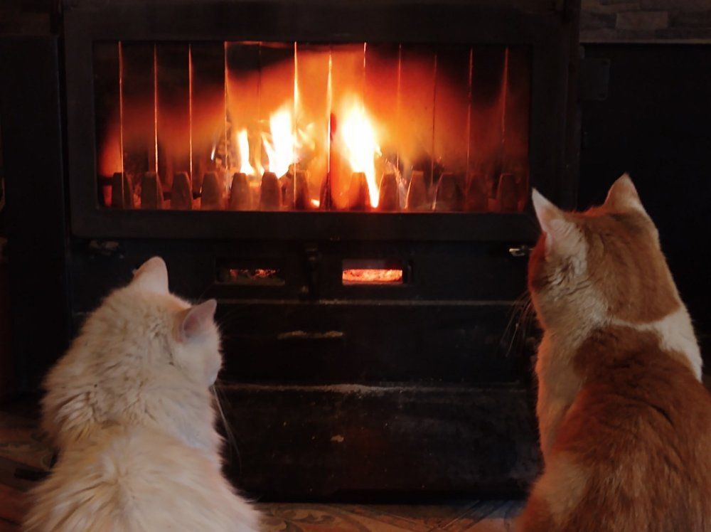 Photograph by Maja Micovic