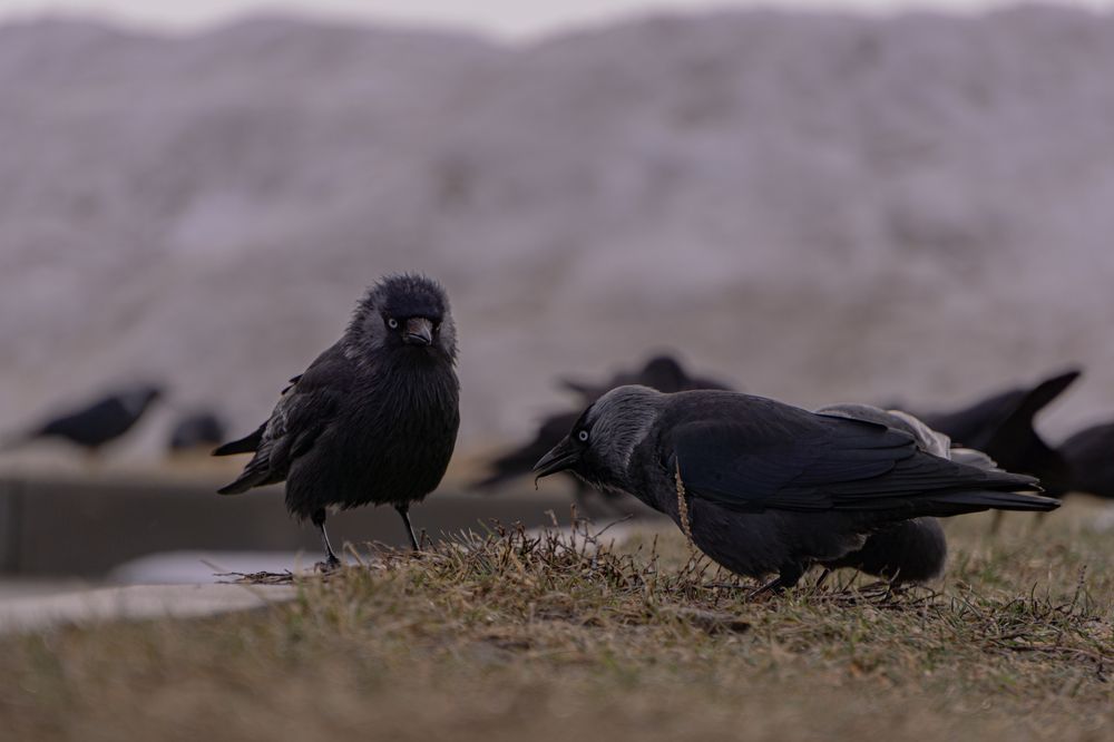 Photograph by Ходакин Александр