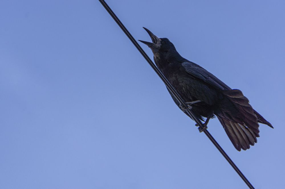 Photograph by Ходакин Александр