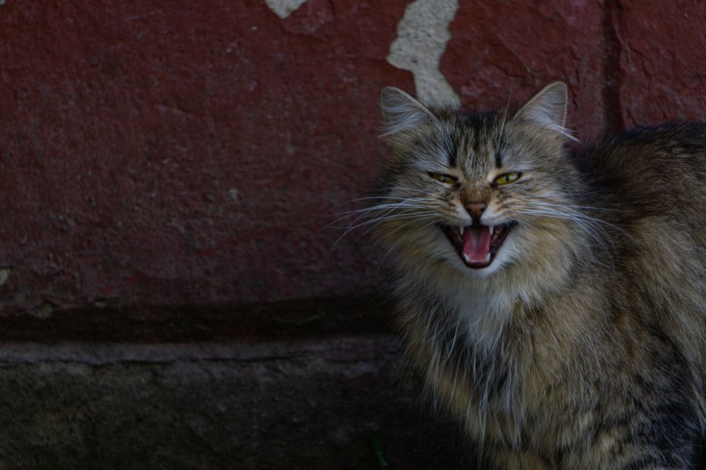 Photograph by Ходакин Александр