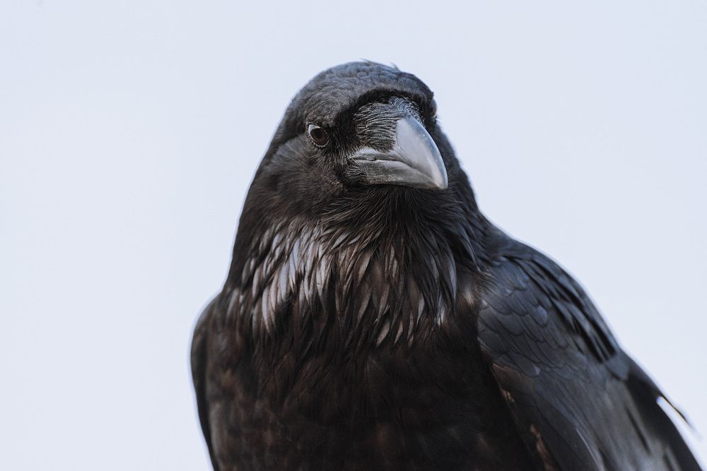 Photograph by Марина Сапронова