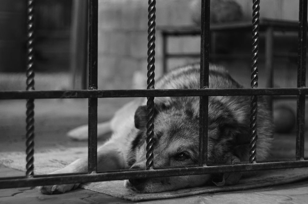 Photograph by Наталья Шленкина