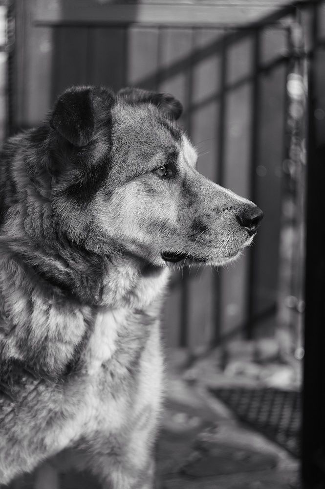 Photograph by Наталья Шленкина